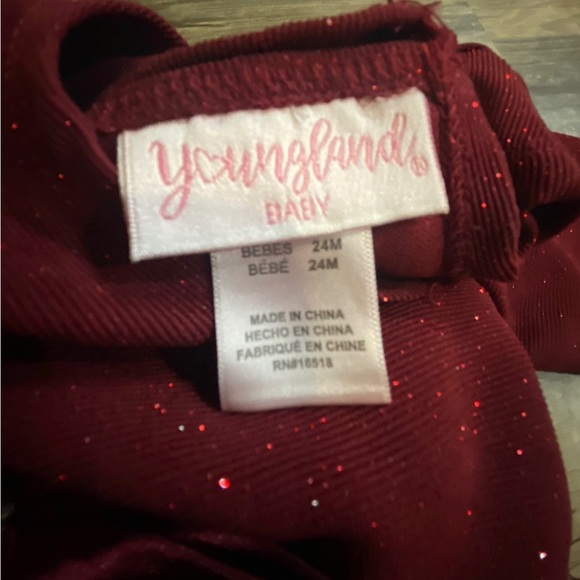 Youngland Holiday Lace Dress 24 Months - Picture 4 of 4